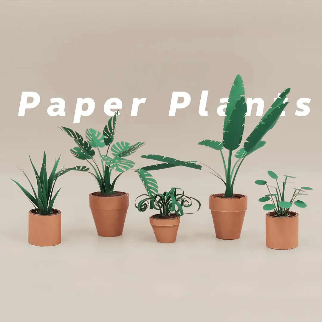 Paper Plants | DIY Origami Craft Kit for Plant Lovers