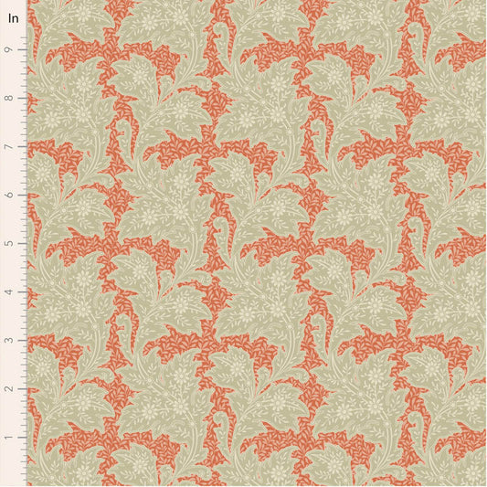Songbird-Stella (Coral)