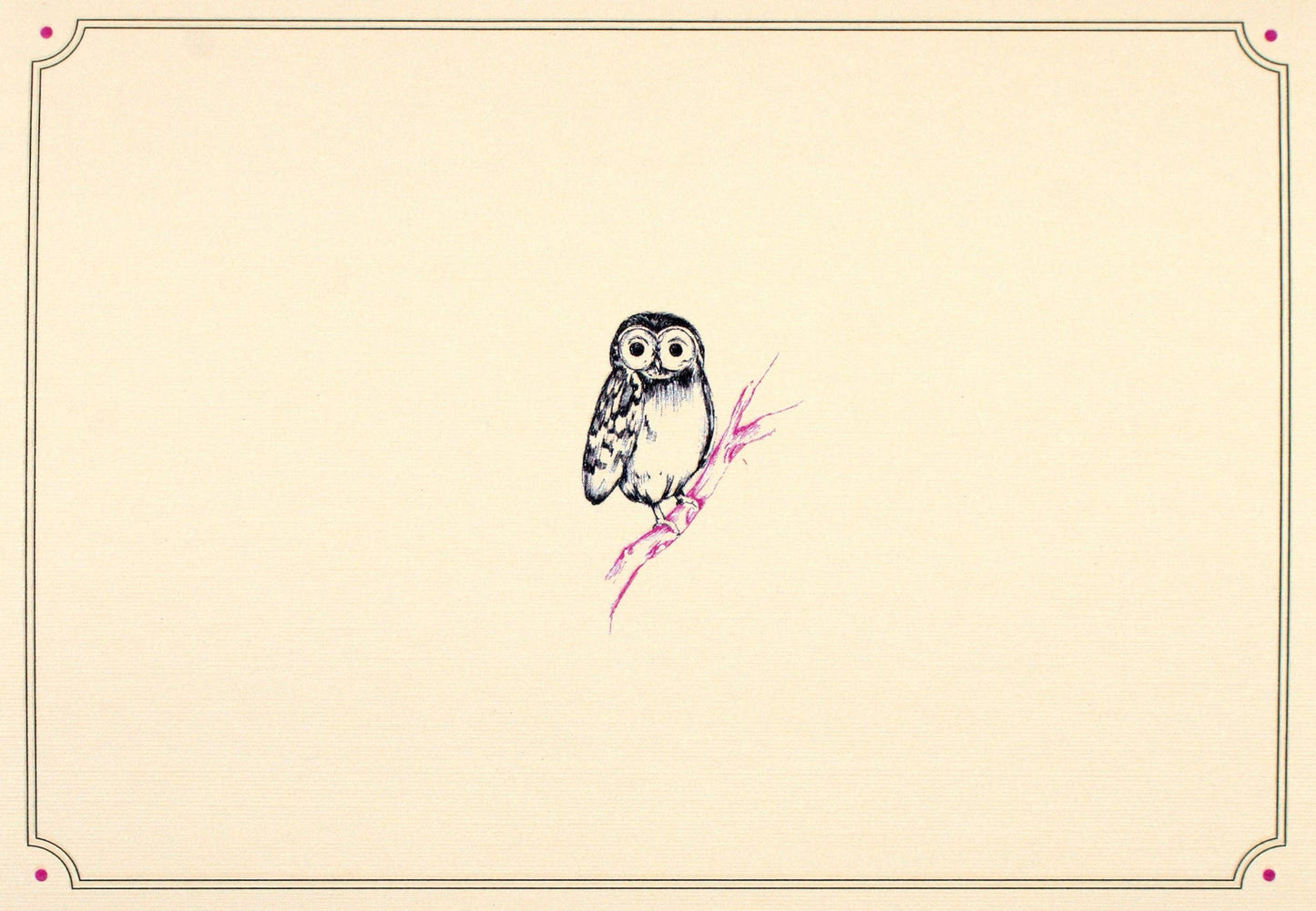 Owl Portrait Note Cards