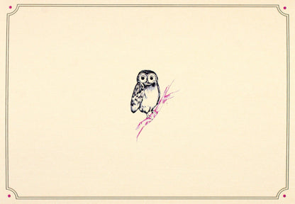 Owl Portrait Note Cards
