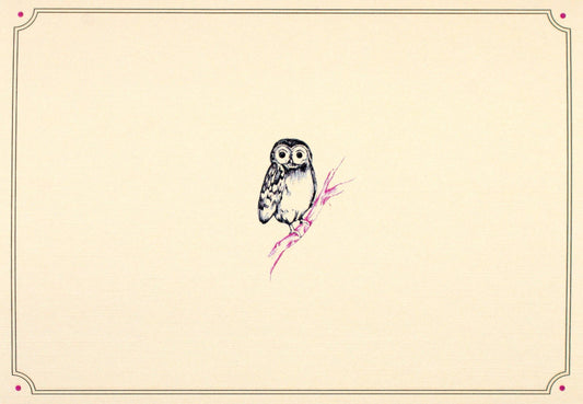 Owl Portrait Note Cards