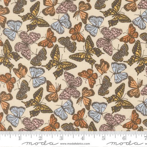 Flitter Flutter - Cloud
