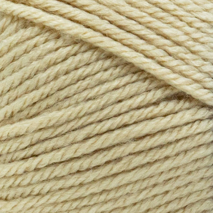 Lion Brand Yarn-Basic Stitch Anti Pilling