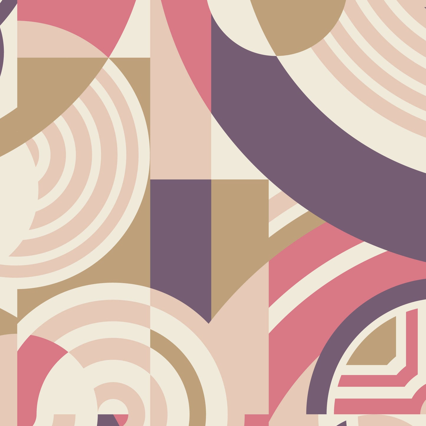 AMERICAN BOLD - Hoffman | Pink/Purple