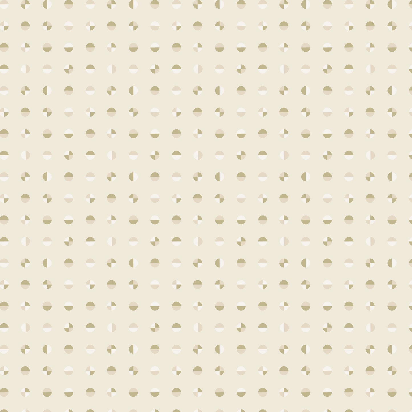 AMERICAN BOLD - Circular | Oyster Shell