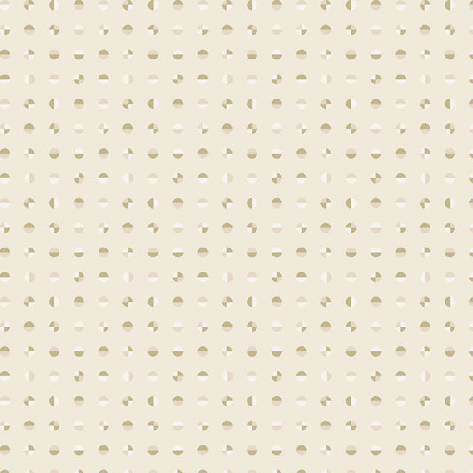 AMERICAN BOLD - Circular | Oyster Shell