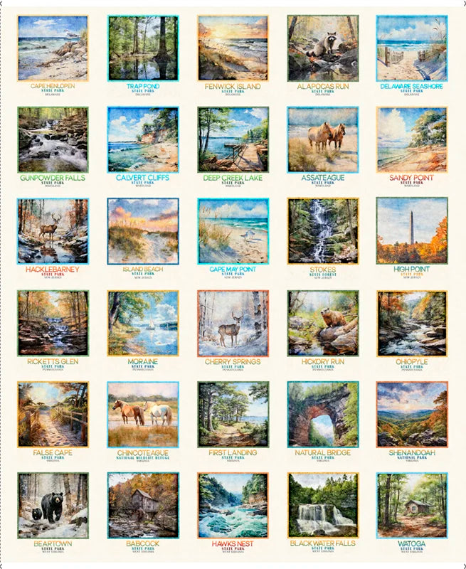 MID ATLANTIC SHOP HOP 2026-PICTURE PATCHES PANEL