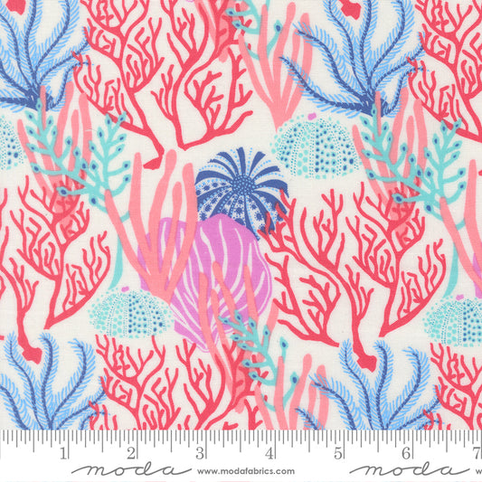 Reef Coral Reef - Pearl