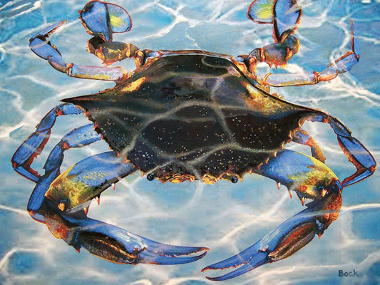 Blue Crab Bay 550 Piece Puzzle