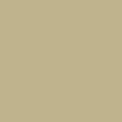 Superior Solids-Latte