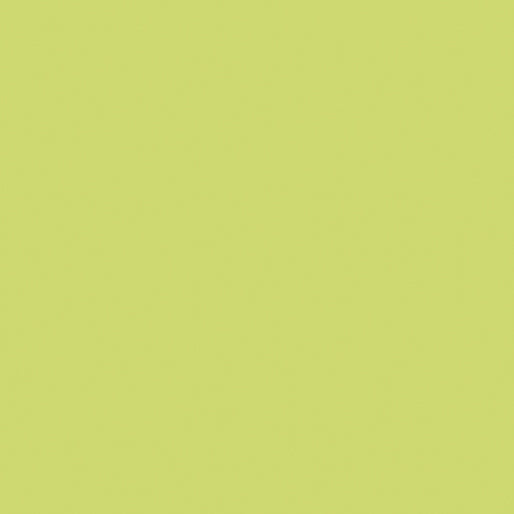 Superior Solids Kiwi