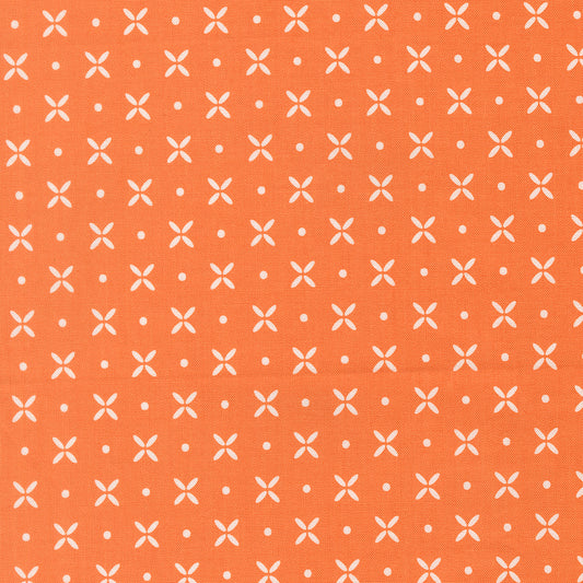 Birch Willow Quilting   Pumpkin