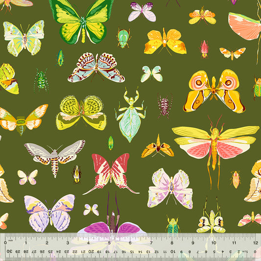 Insectarium - Olive