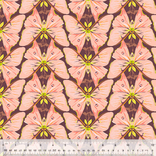 Insectarium - Pink