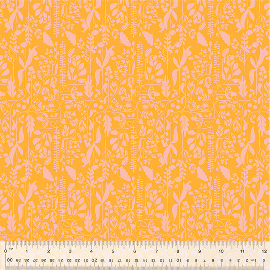 Insectarium - Orange