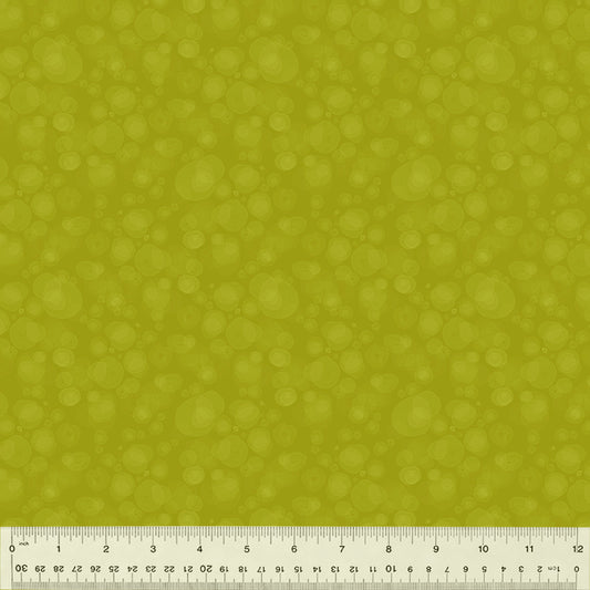 Watermark - Kiwi