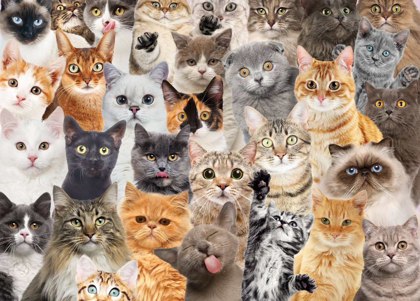 All the Cats 1000 Piece Jigsaw Puzzle