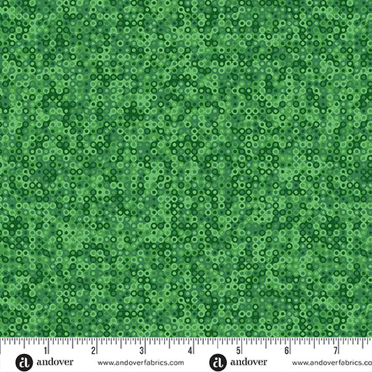 Fairy Rings - Grass