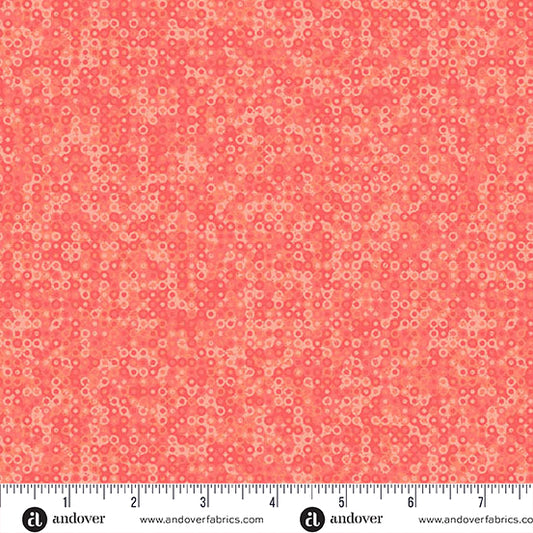 Fairy Rings - Coral