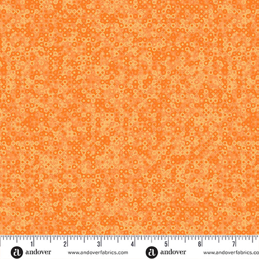 Fairy Rings - Pumpkin
