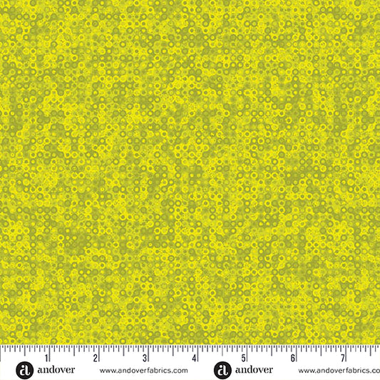 Fairy Rings - Chartreuse