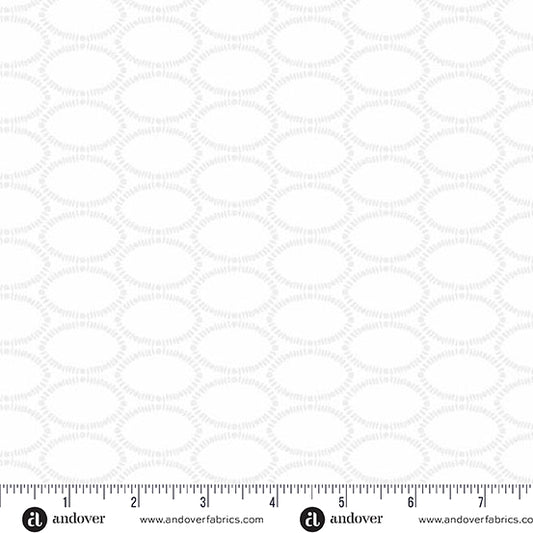 Bevel (Orchid)