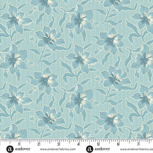 Lilly (Glacier)