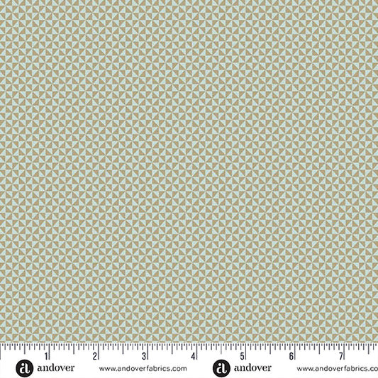 Half Square Triangle (Pacific)