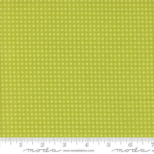 Fab Boo Lous | Spooky Gingham (Green Slime)