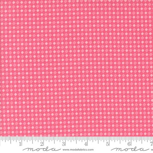 Fab Boo Lous | Spooky Gingham (Hot Pink)