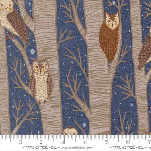 Night Owl (Dusk)