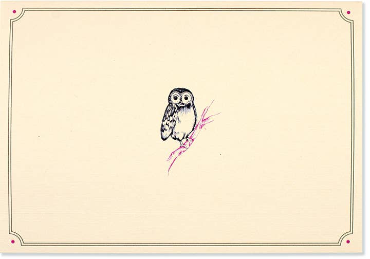 Owl Portrait Note Cards
