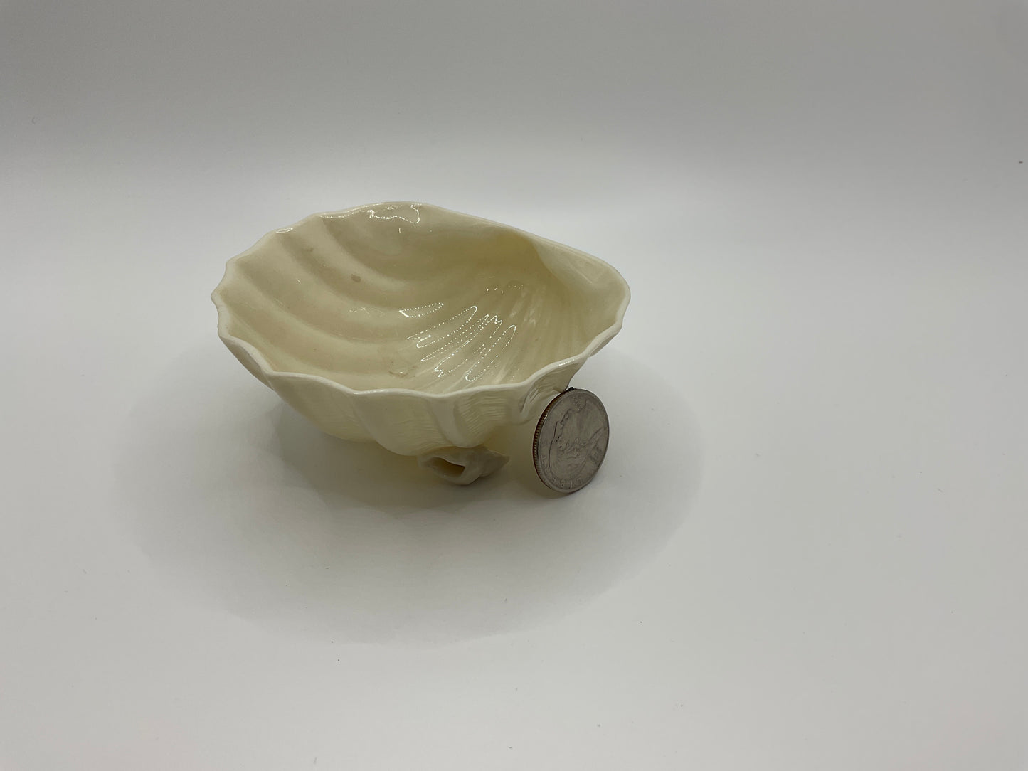 Belleek shell dish