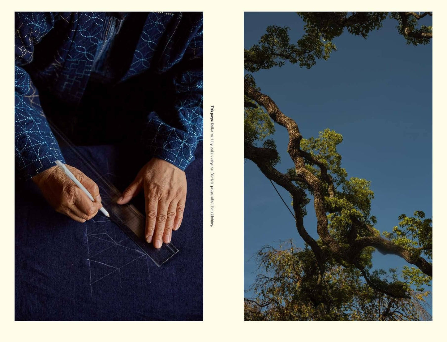 Sashiko: The Untold Story
