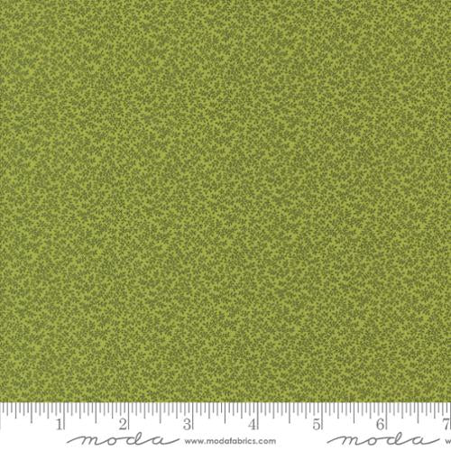 Wandering Vine (New Leaf)