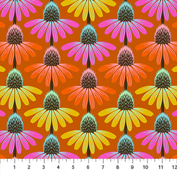 Perennial Borders || Fire - Echinacea Rhythm