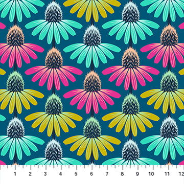 Perennial Borders || Parade - Echinacea Rhythm