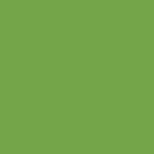 Superior Solids-Apple Green