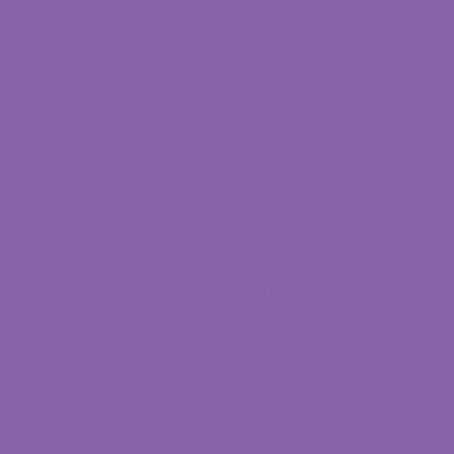 Superior Solids-Aster