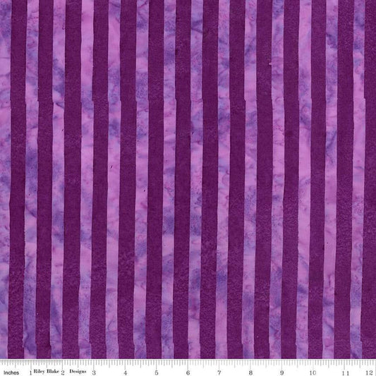 Expressions Batiks Elementals Get in Line Lollipop