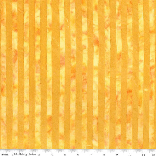 Expressions Batiks Elementals Get in Line Sunshine