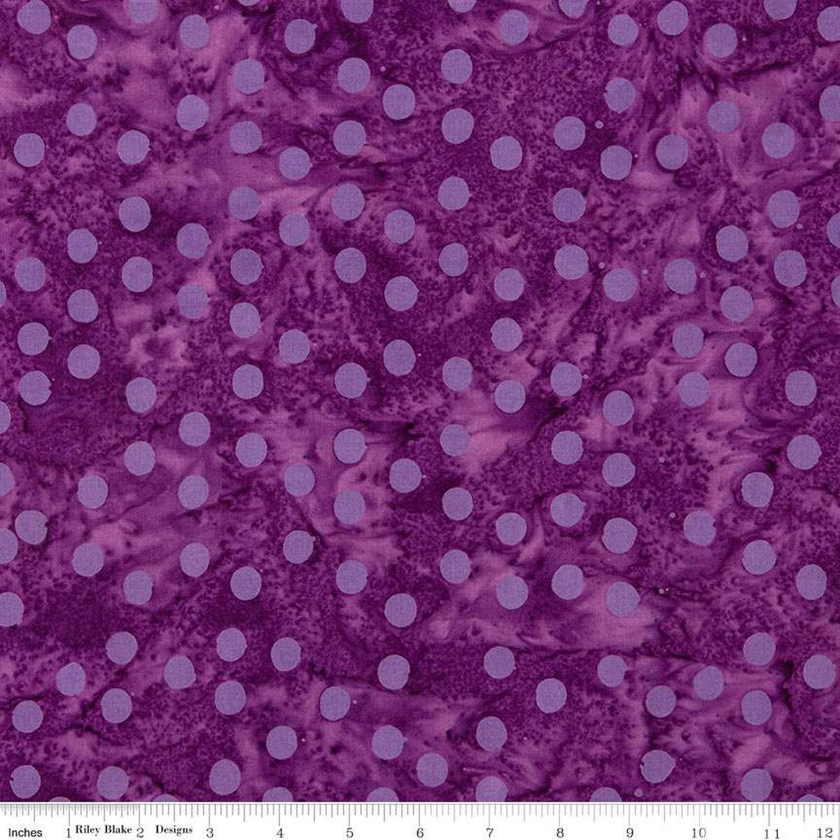 Riley Blake Hyperion Block of the Month