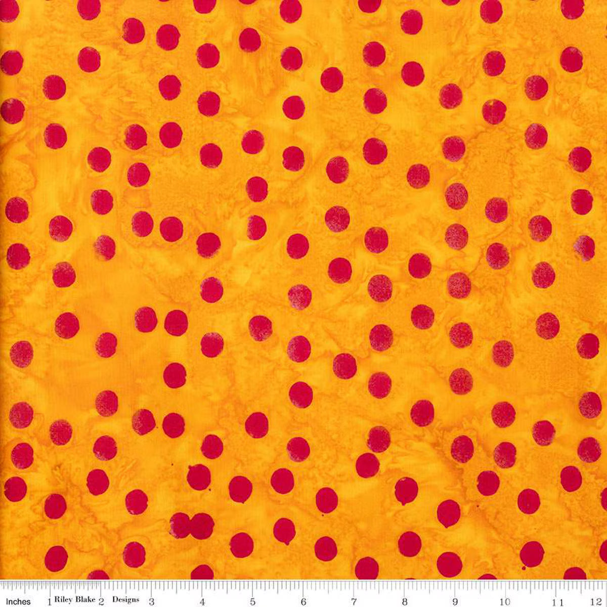 Riley Blake Hyperion Block of the Month