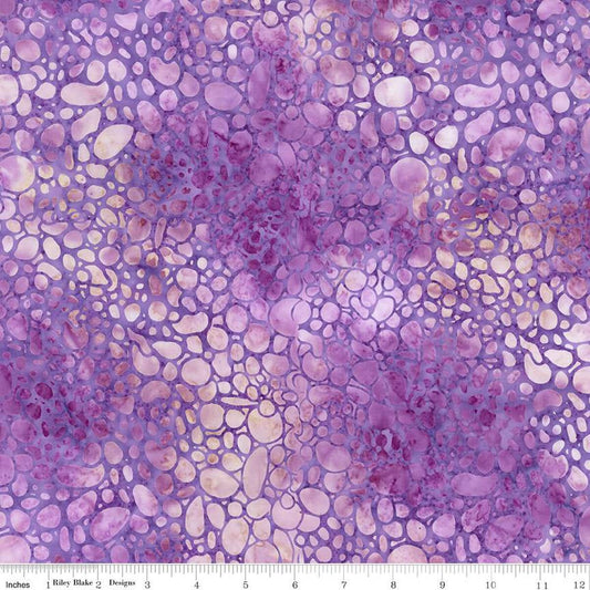 Riley Blake Plant Based - Lavender Blush