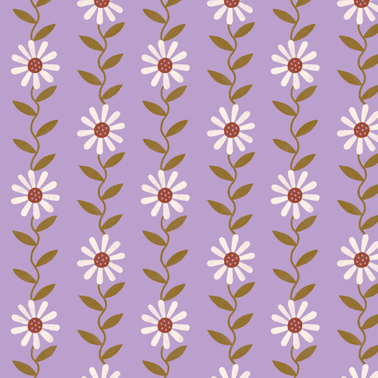 Daisy May-Purple