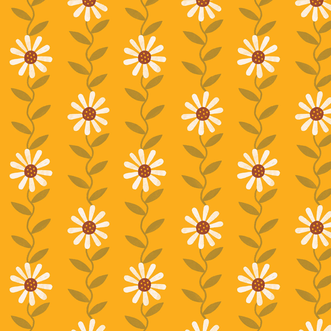 Daisy May-Yellow