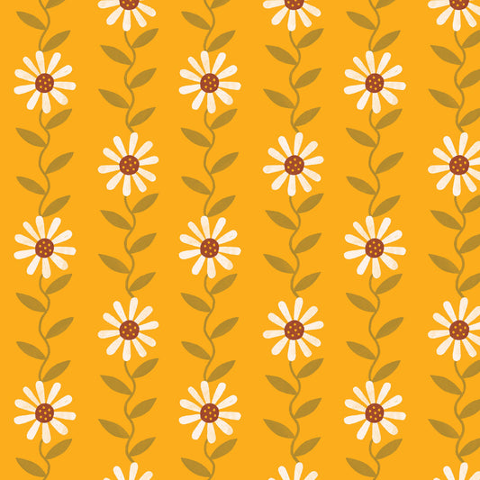 Daisy May-Yellow