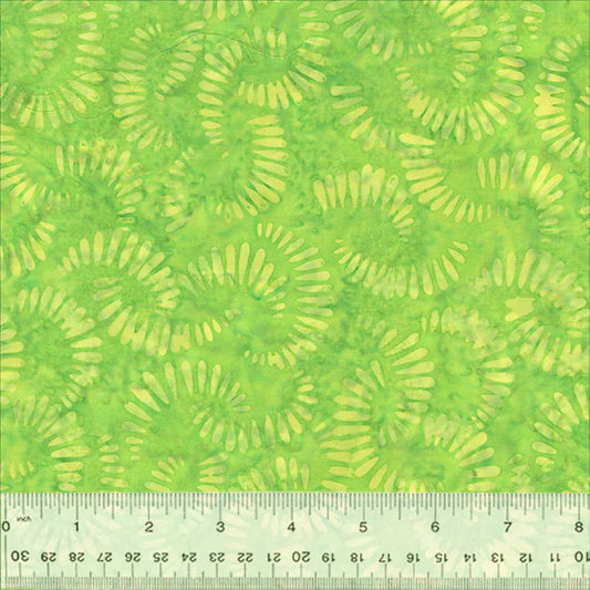 BATIK-Citrus Slices (Lime)