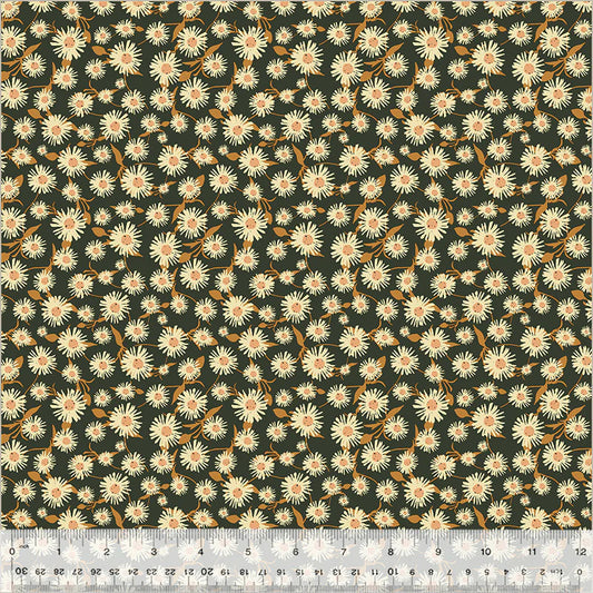 Daisy Dance (Midnight)