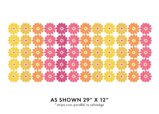 Daisy Ombre Stripe (Pink/Multi)